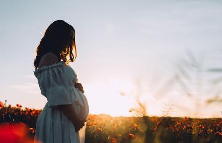 Pregnant woman in a field